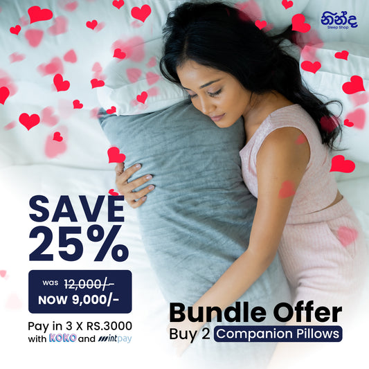 Companion Pillow Bundle (2 companion pillows)